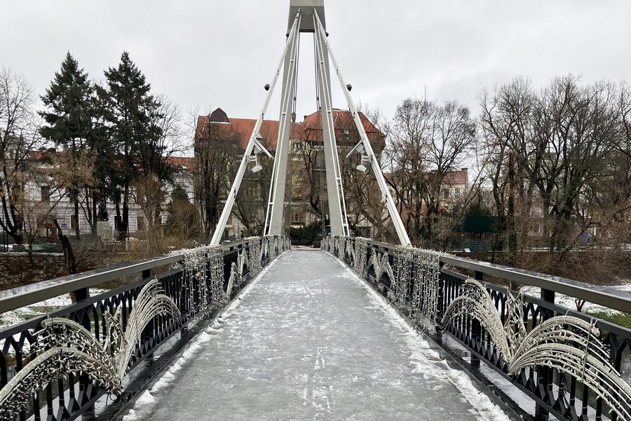 podul-intelectualilor-din-oradea.jpg - ReactiveNews