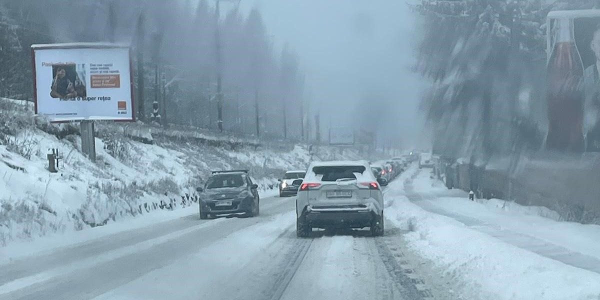 poza-art.jpeg - ReactiveNews