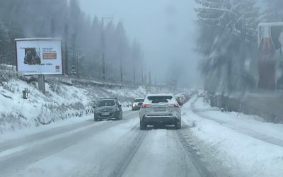 poza-art.jpeg - ReactiveNews