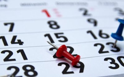 profimedia-0469512770-1.jpg - ReactiveNews