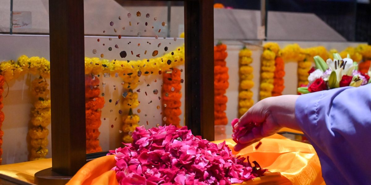 profimedia-1026803337.jpg - ReactiveNews