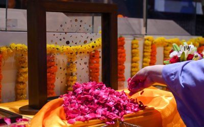 profimedia-1026803337.jpg - ReactiveNews