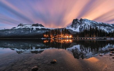 reflexii-foto.jpg - ReactiveNews