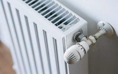 repartitoare_INQUAM_Photos_Virgil_Simonescu.jpg - ReactiveNews