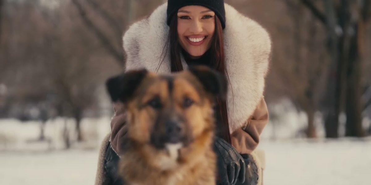 scl2UJnbk9Q-HD.jpg - ReactiveNews