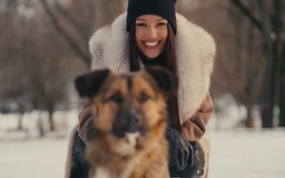 scl2UJnbk9Q-HD.jpg - ReactiveNews