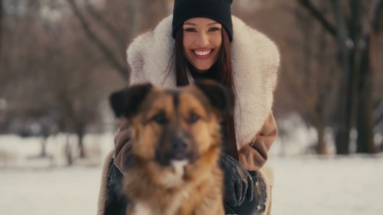 Alina Eremia a utilizat muzica pentru a transmite un mesaj de responsabilitate socială, lansând piesa „Dacă mai vrei” împreună cu un videoclip ce promovează adopția animalelor fără stăpân