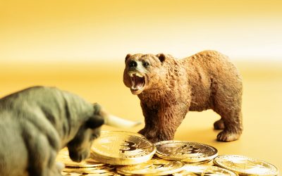 shutterstock_1982668922.jpg - ReactiveNews