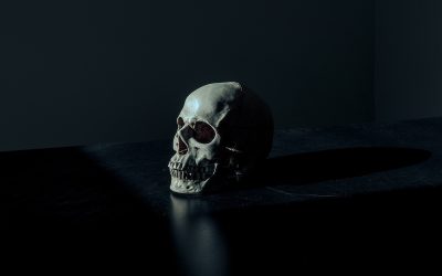 skull-1867707_1920.jpg - ReactiveNews