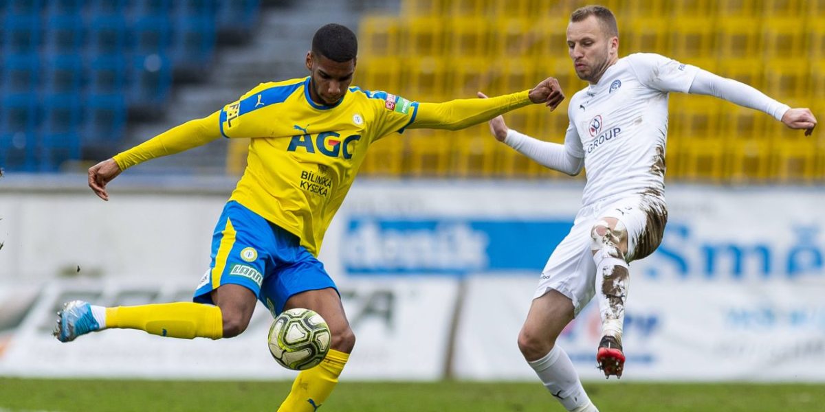 toutou-imago47014849.jpg - ReactiveNews