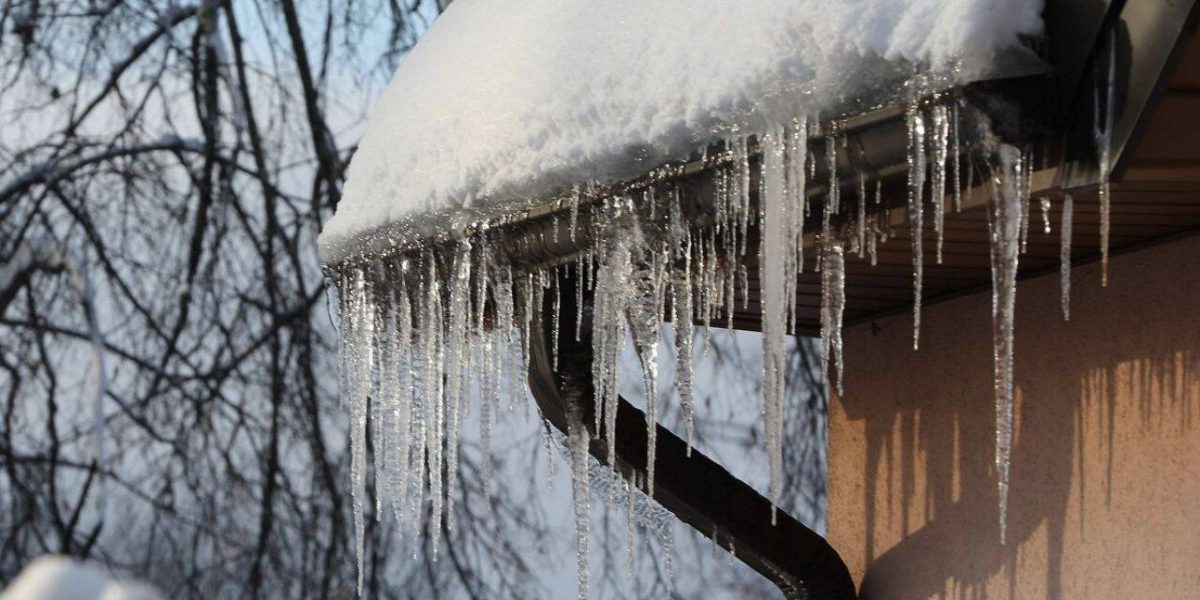 turturi.jpg - ReactiveNews