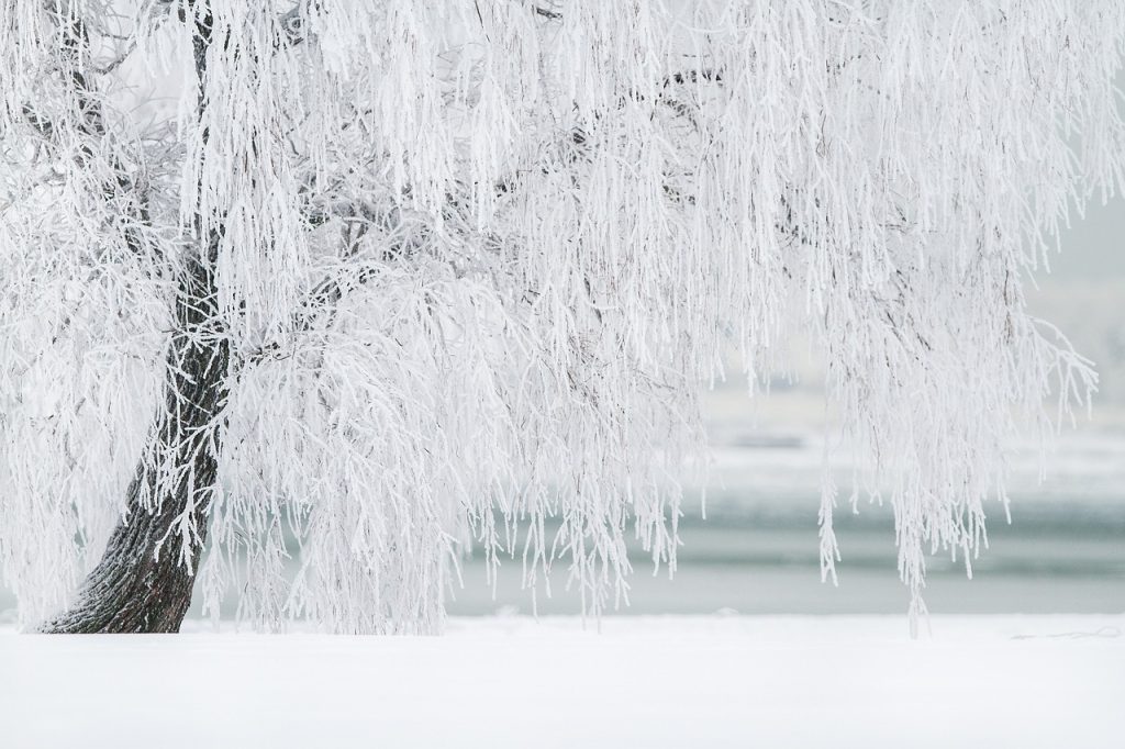 Alertă meteo: Ninsori intensissime și lapoviță în cea mai mare parte a țării, până marți dimineața