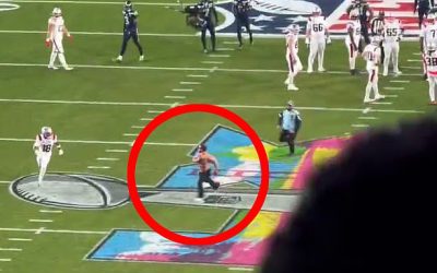 106218351-15541319-A_shirtless_man_stormed_the_field_during_the_fourth_quarter_of_S-a-11_17706054366.jpeg - ReactiveNews