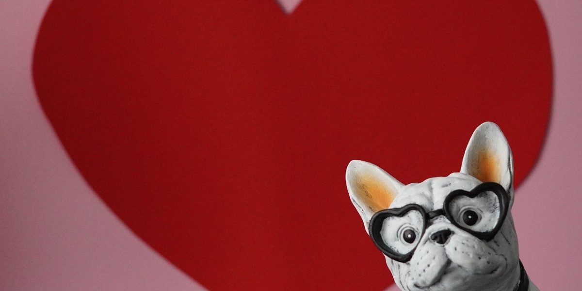 13-19-februarie_pixabay.jpg - ReactiveNews