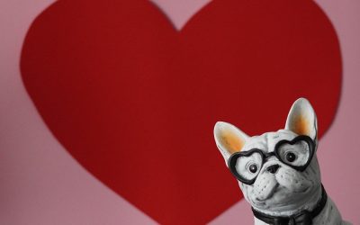 13-19-februarie_pixabay.jpg - ReactiveNews