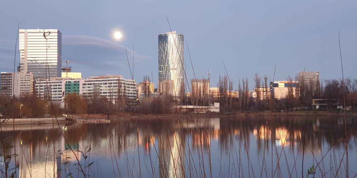 20201229_170227.jpg - ReactiveNews