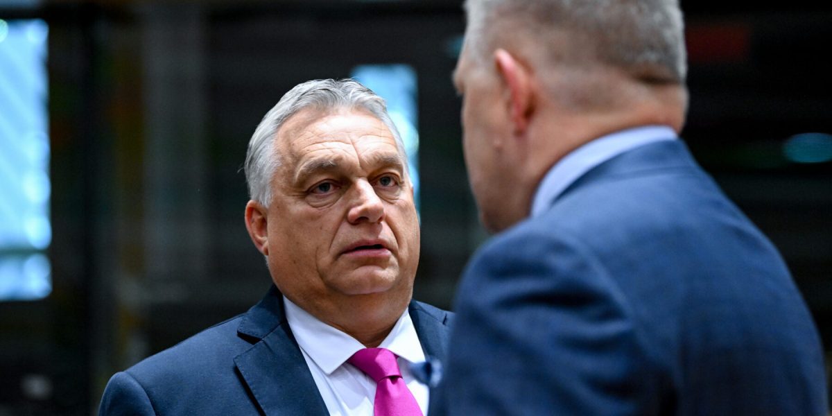 241cae23-1980-4ab2-90d1-f351ad0a1a59-e1702475590659.jpg - ReactiveNews