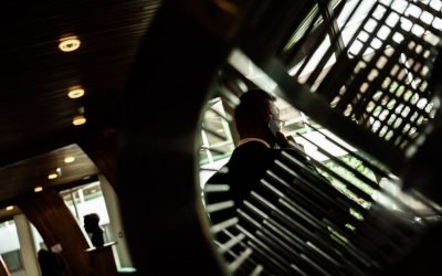 243360735_416555239837032_4422622264521846833_n-e1636627361559.jpg - ReactiveNews