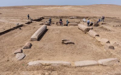 279212255_357560693072150_6526251018744644954_n-e1650962328833.jpg - ReactiveNews