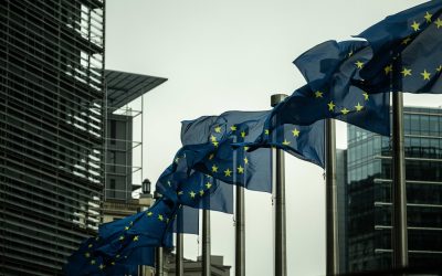 315452934_663724895220807_3375488078964945007_n.jpg - ReactiveNews