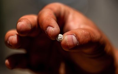 32KW7GZ-highres.jpg - ReactiveNews