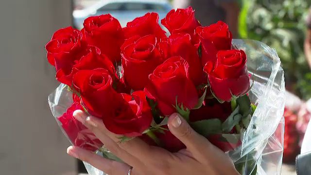 62384270.jpg - ReactiveNews