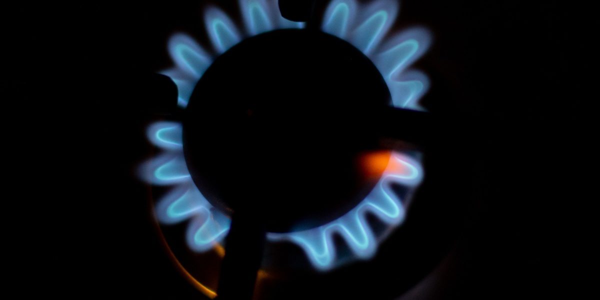 82003c33-ec60-4449-9f50-49bc4fdab088.jpg - ReactiveNews