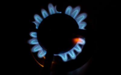 82003c33-ec60-4449-9f50-49bc4fdab088.jpg - ReactiveNews