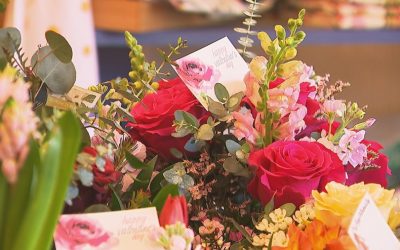 8669895a4da9b03111b0f3a5e6830f7f.jpeg - ReactiveNews