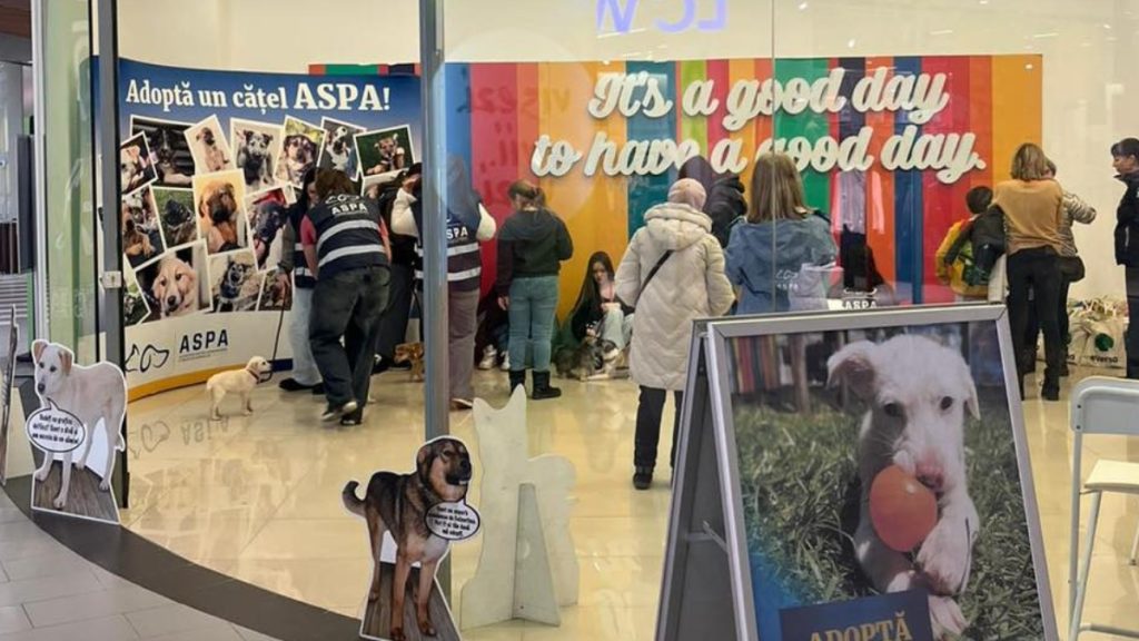 Primul târg de adopții al anului 2026 organizat de ASPA București a adus bucurie pentru mai mulți câini din adăposturile Capitalei, demonstrând încă o dată angajamentul administrației pentru protecția animalelor și promovarea adopției responsabile