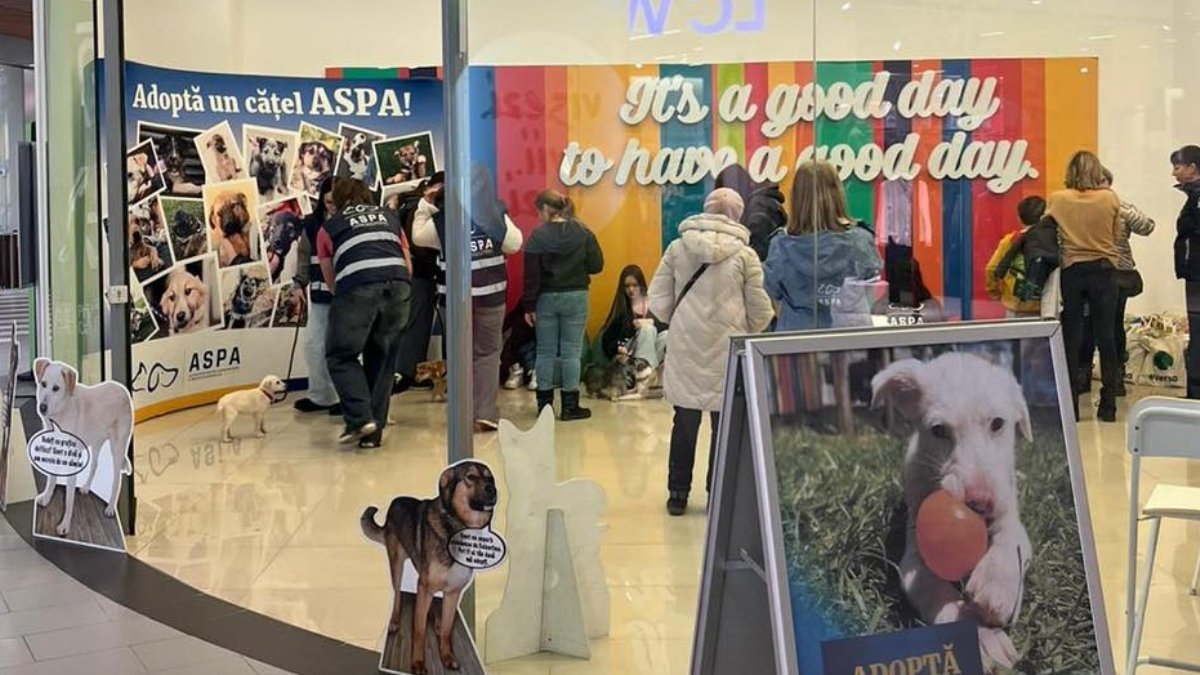 Primul târg de adopții al anului 2026 organizat de ASPA București a adus bucurie pentru mai mulți câini din adăposturile Capitalei, demonstrând încă o dată angajamentul administrației pentru protecția animalelor și promovarea adopției responsabile