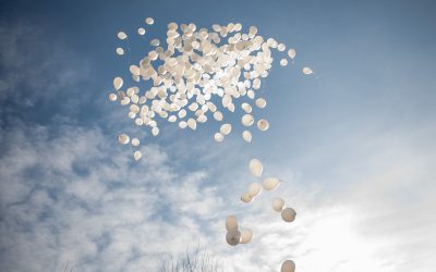 FB1A1660.jpg - ReactiveNews