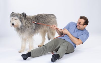 Foto-Leya_George-scaled.jpg - ReactiveNews