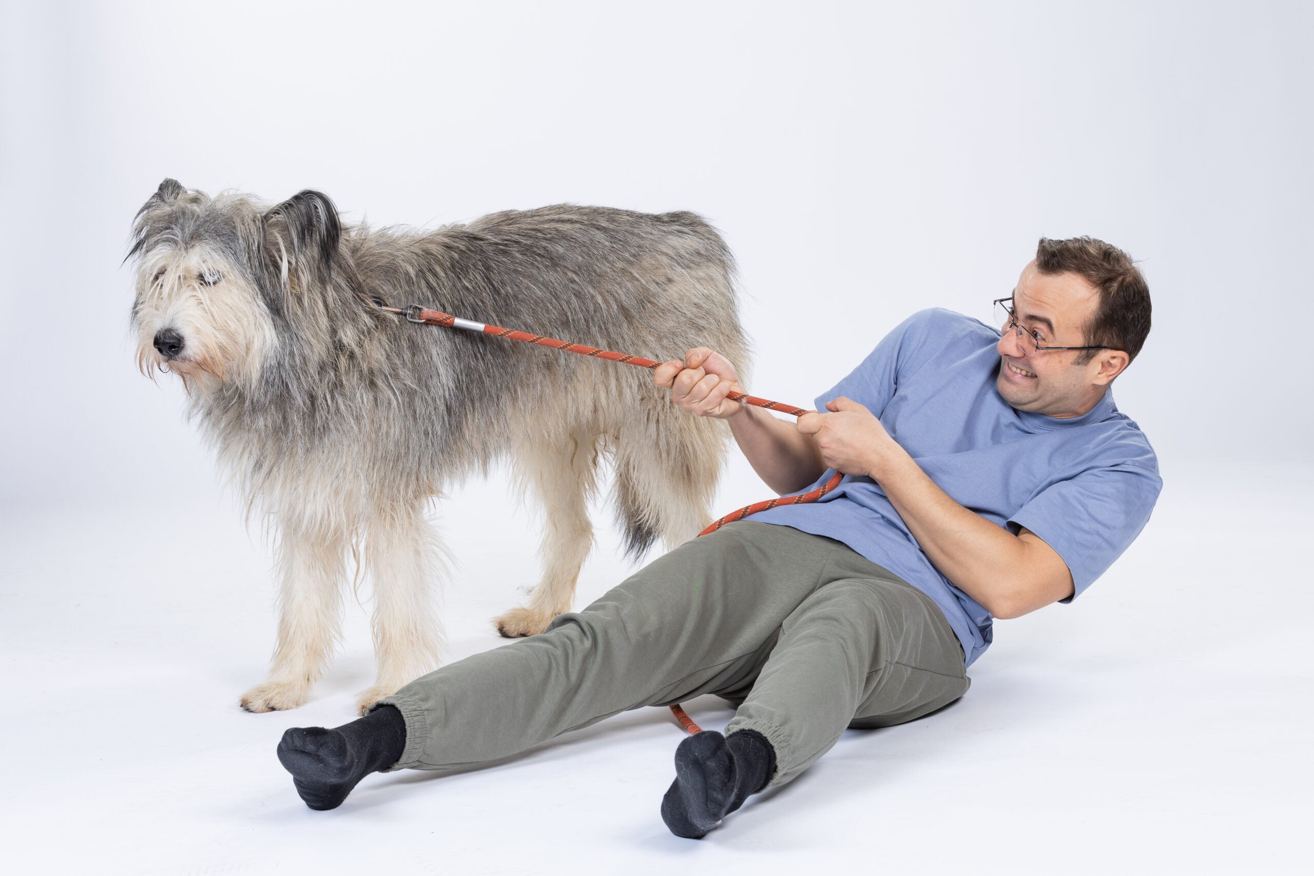 Filmul românesc „Efectul Pufi” a avut parte de o avanpremieră de gală la Cinemax Veranda, eveniment la care au participat atât actorii implicați în proiect, cât și iubitori ai animalelor