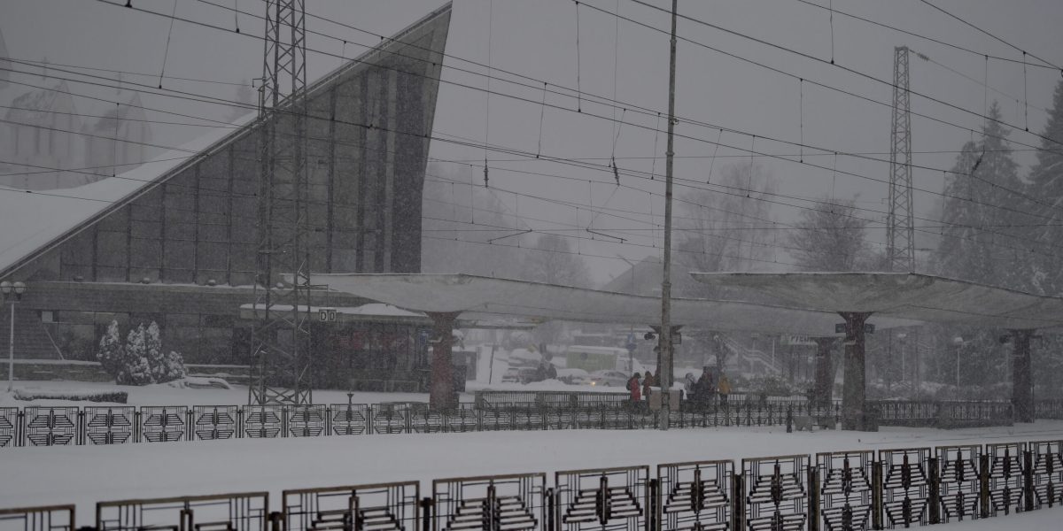 ID239030_INQUAM_Photos_Alex-Nicodim_-scaled.jpg - ReactiveNews