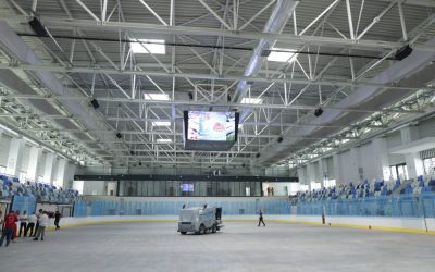 ID264238_INQUAM_Photos_George_Calin-1000x667.jpg - ReactiveNews