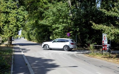 ID317768_INQUAM_Photos_Ovidiu_Micsik-scaled.jpg - ReactiveNews