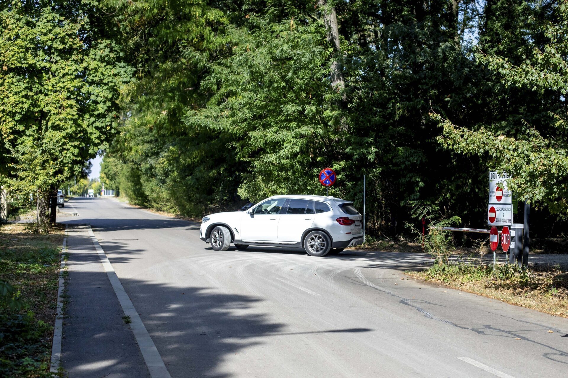 Ministerul Mediului a făcut lumina în sfârșit asupra situației drumului auto care face legătura între cartierul Greenfield și Pădurea Băneasa, prezentând concluziile unui raport al Corpului de Control ce demontează tezele oficiale ale dezvoltatorilor și rezidenților implicați