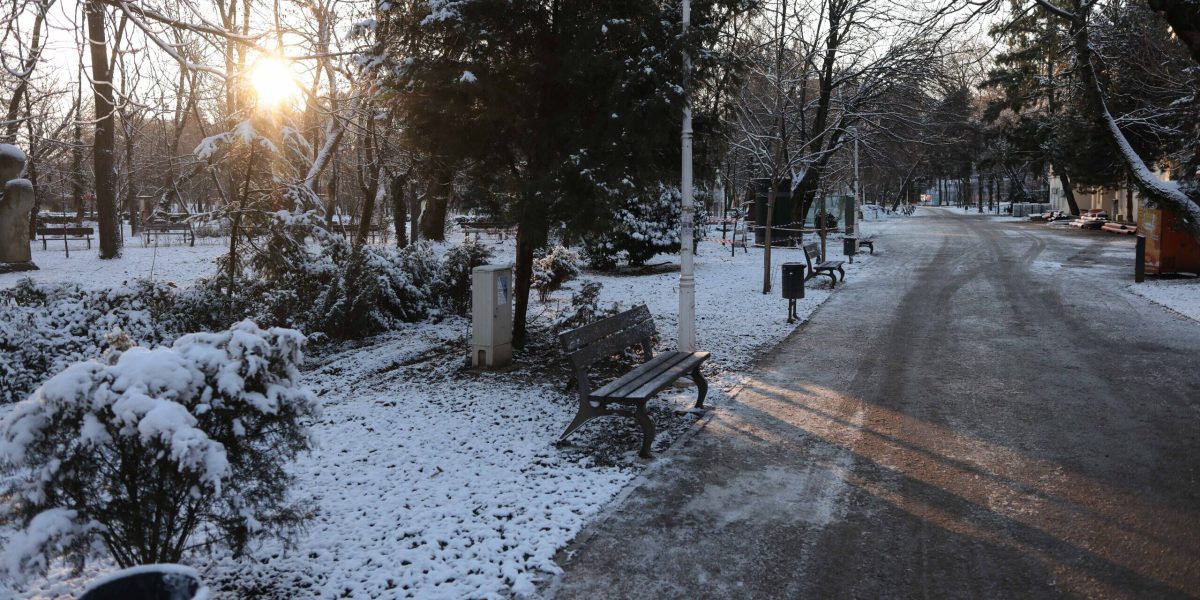 ID330501_INQUAM_Photos_George_Calin-1-e1770545727817.jpg - ReactiveNews