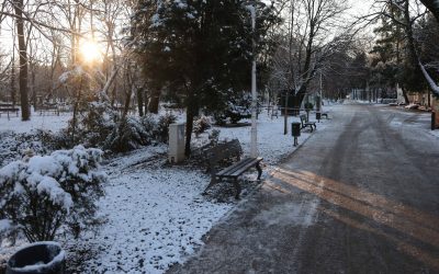 ID330501_INQUAM_Photos_George_Calin-1-e1770545727817.jpg - ReactiveNews