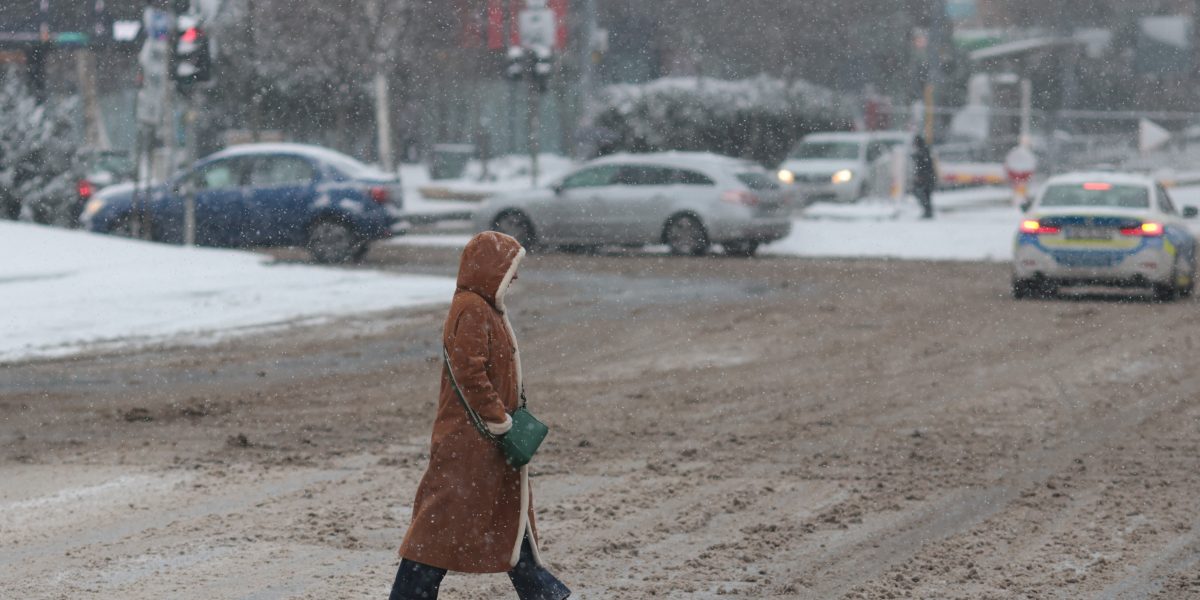 ID330593_INQUAM_Photos_George_Calin.jpg - ReactiveNews