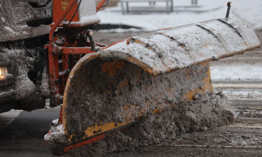 ID330600_INQUAM_Photos_George_Calin-1000x667.jpg - ReactiveNews