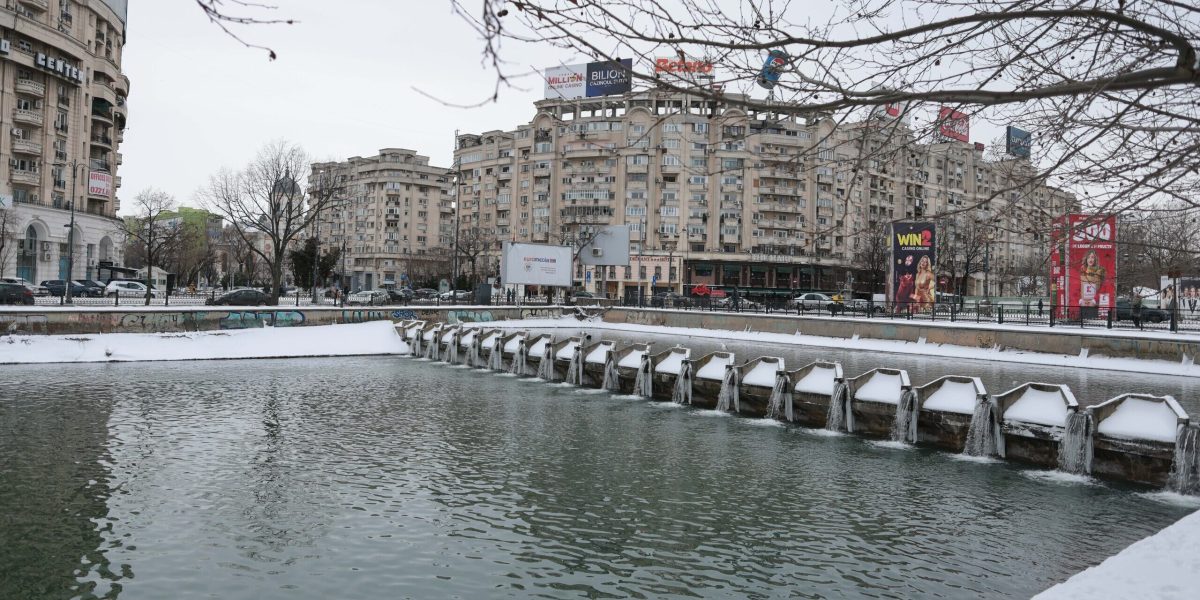 ID332283_INQUAM_Photos_George_Calin-1-e1770468225307.jpg - ReactiveNews