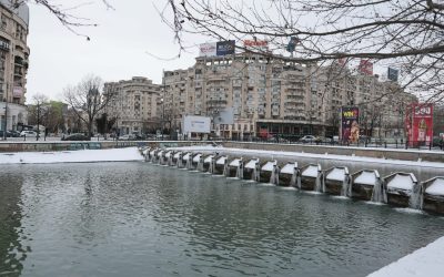 ID332283_INQUAM_Photos_George_Calin-1-e1770468225307.jpg - ReactiveNews