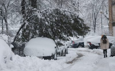 Viscolul a doborât 440 de copaci și a avariat peste 210 mașini în București; cum obții despăgubiri