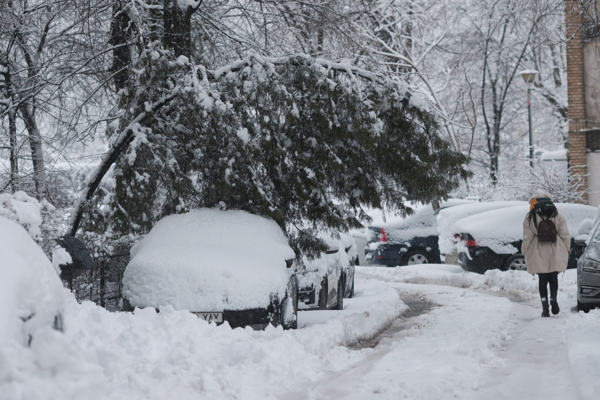 Revenirea bruscă a iernii a adus în București și împrejurimi pagube semnificative, afectând grav infrastructura și traficul rutier