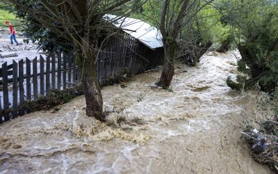 ILUSTRATIE_INUNDATII_01_INQUAM_Photos_Casian_Mitu.jpg - ReactiveNews