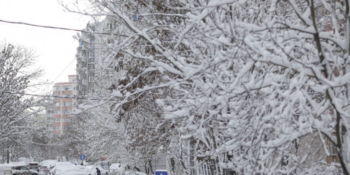 MSZoYXNoPTBjOGFhOWNhNTRhYTQyZmE1YWMxZjlhMmVhMWJlZGNm.thumb_.jpg - ReactiveNews