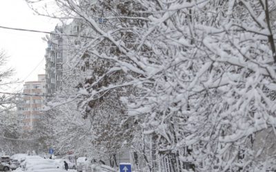 MSZoYXNoPTBjOGFhOWNhNTRhYTQyZmE1YWMxZjlhMmVhMWJlZGNm.thumb_.jpg - ReactiveNews