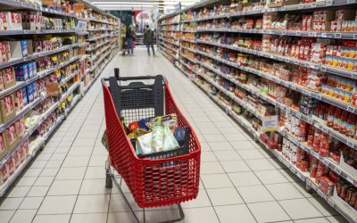 NGIxZGMxMDdiZjU1MjhjN2EwMjE0ZGM2NzFmOWU3.thumb_.jpg - ReactiveNews